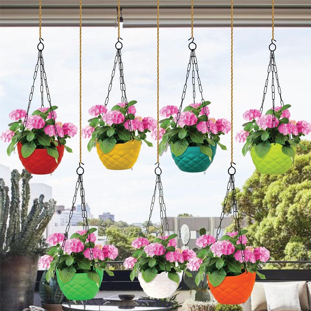 Dimond-Hanging-plastic-planter-Combo-2.jpg