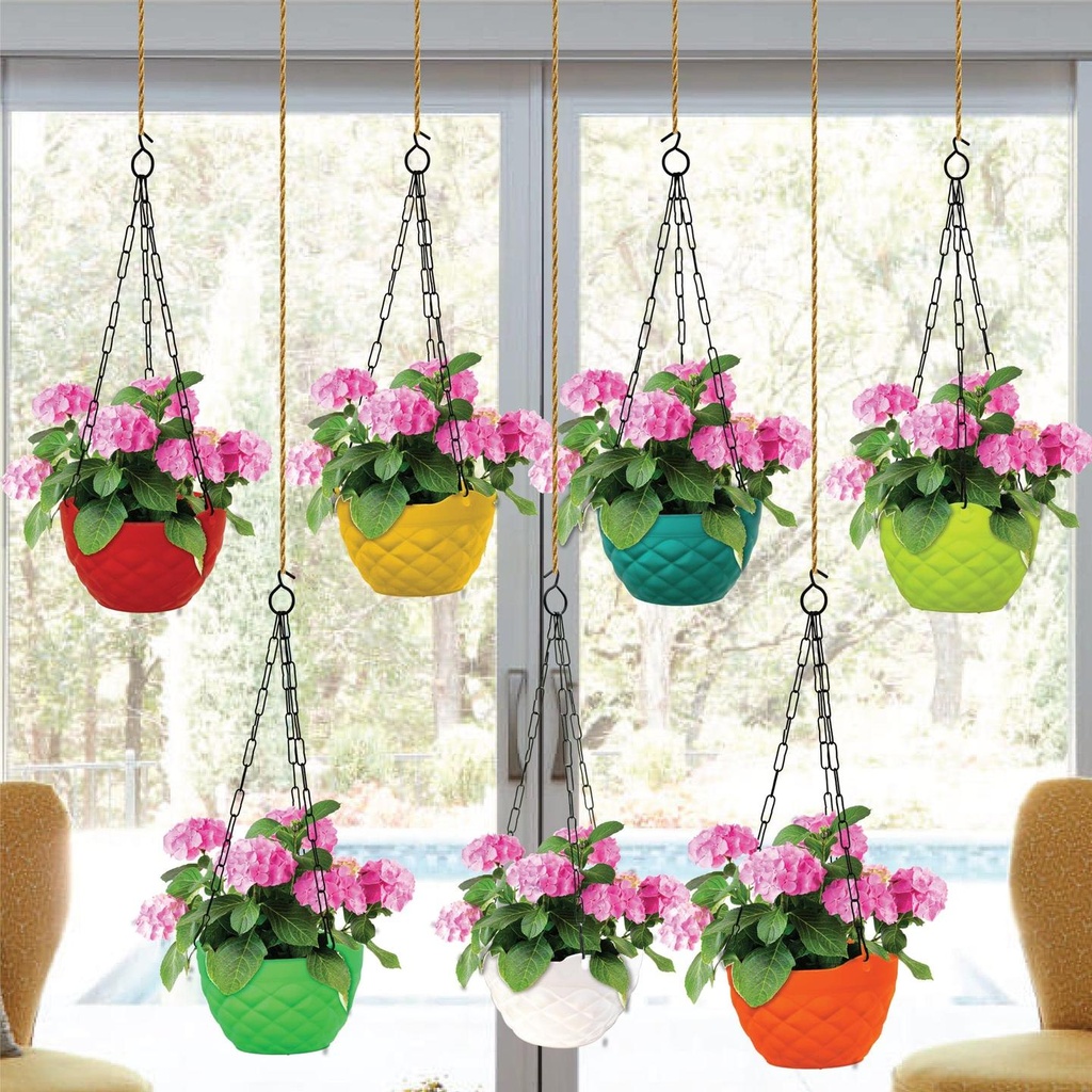 Dimond-Hanging-plastic-planter-Combo-1.jpg