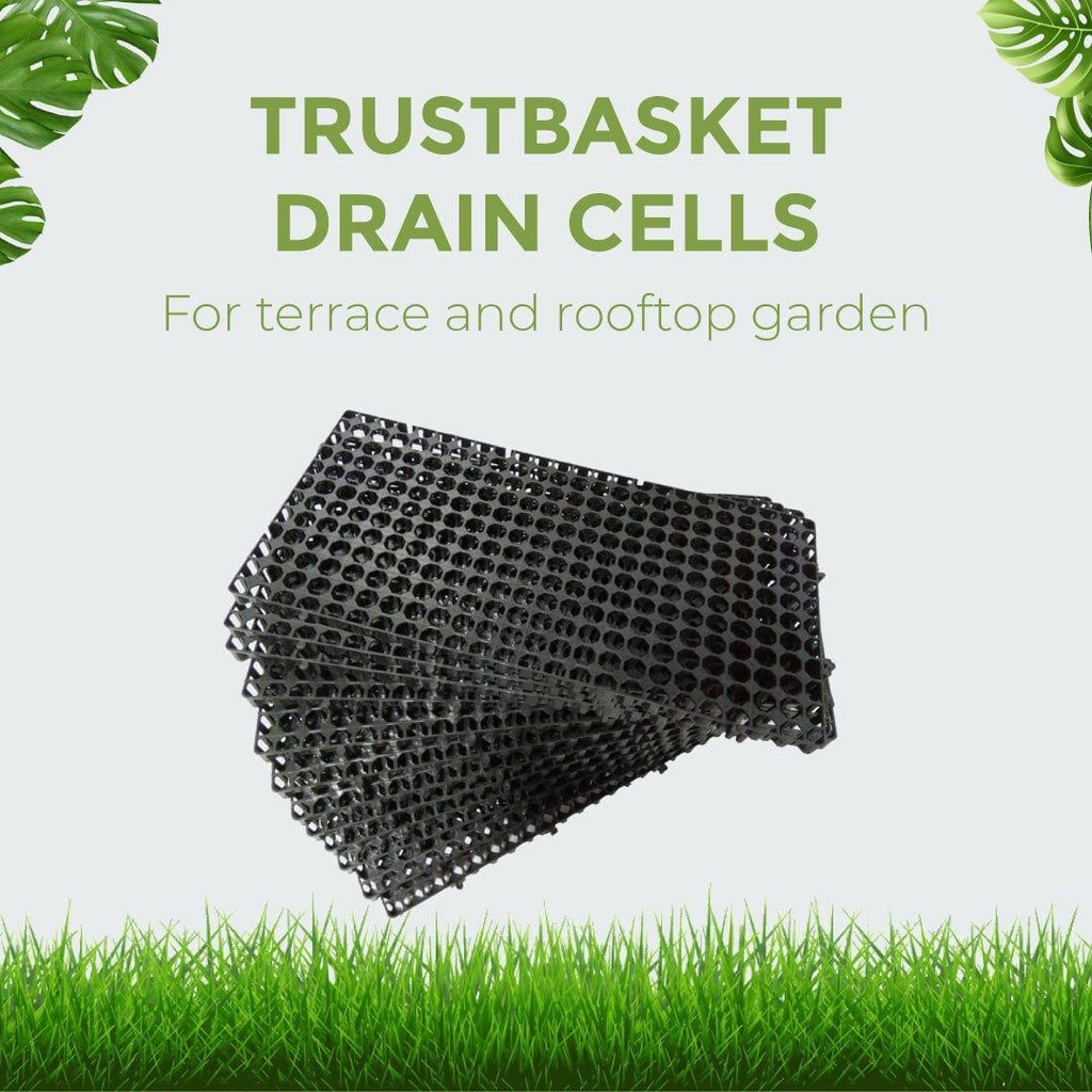 Drainage-Cells_1.jpg