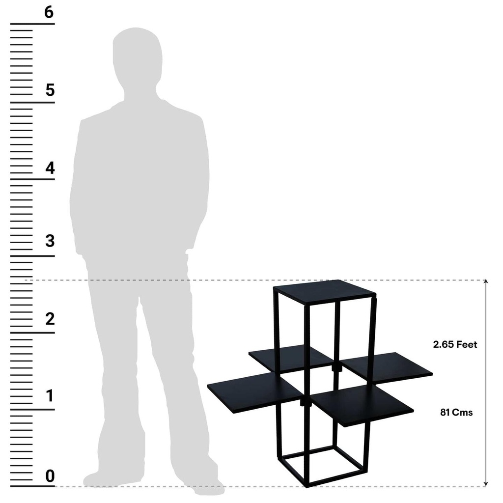 Olive-Size-Com_1.jpg
