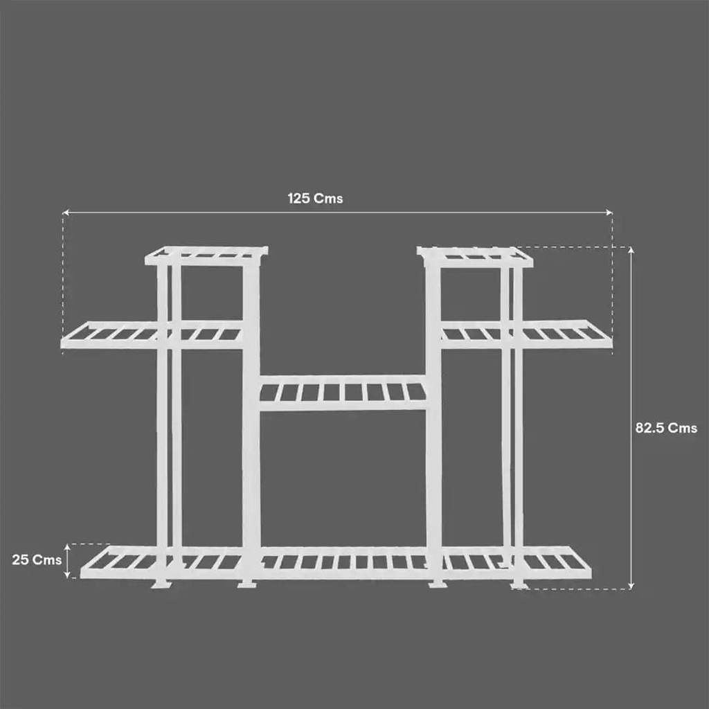 13_asterstand_image_8.jpg