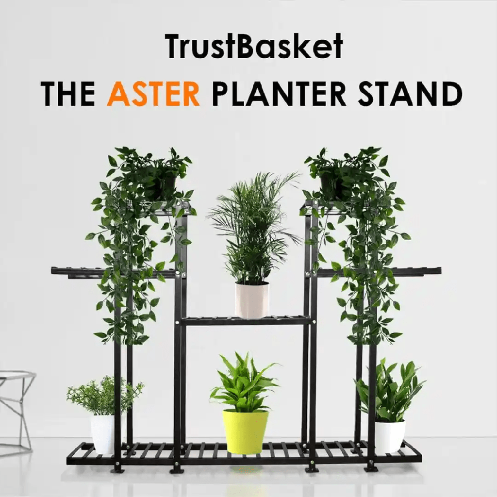 13_asterstand_image_2.png