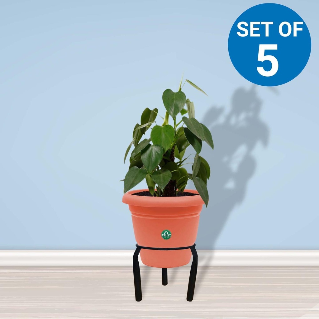 Matka-Stand-set-5.jpg