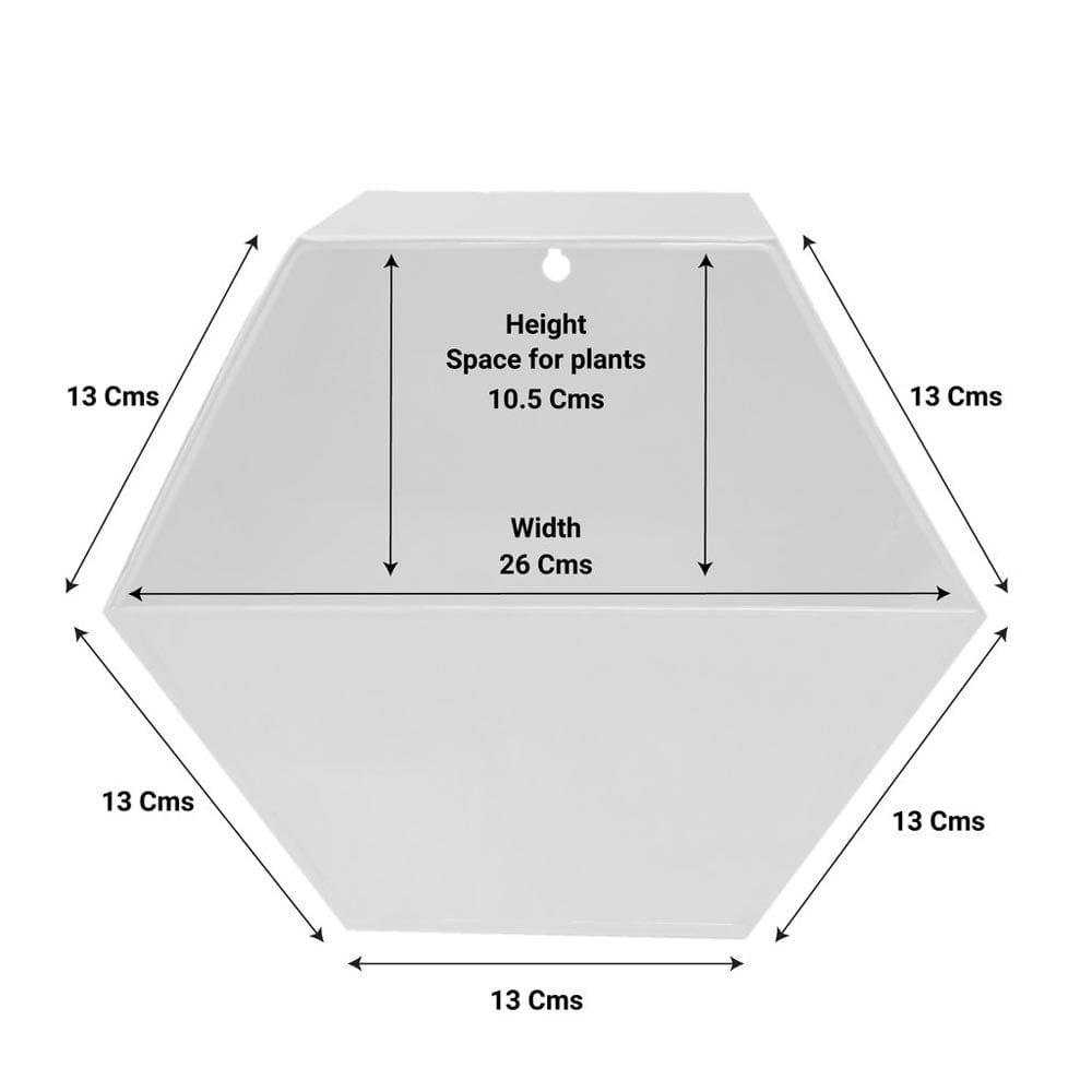 Hexagon-Ivory_1024x1024_5d327ee0-2e91-4558-a962-9495c82c1274.jpg