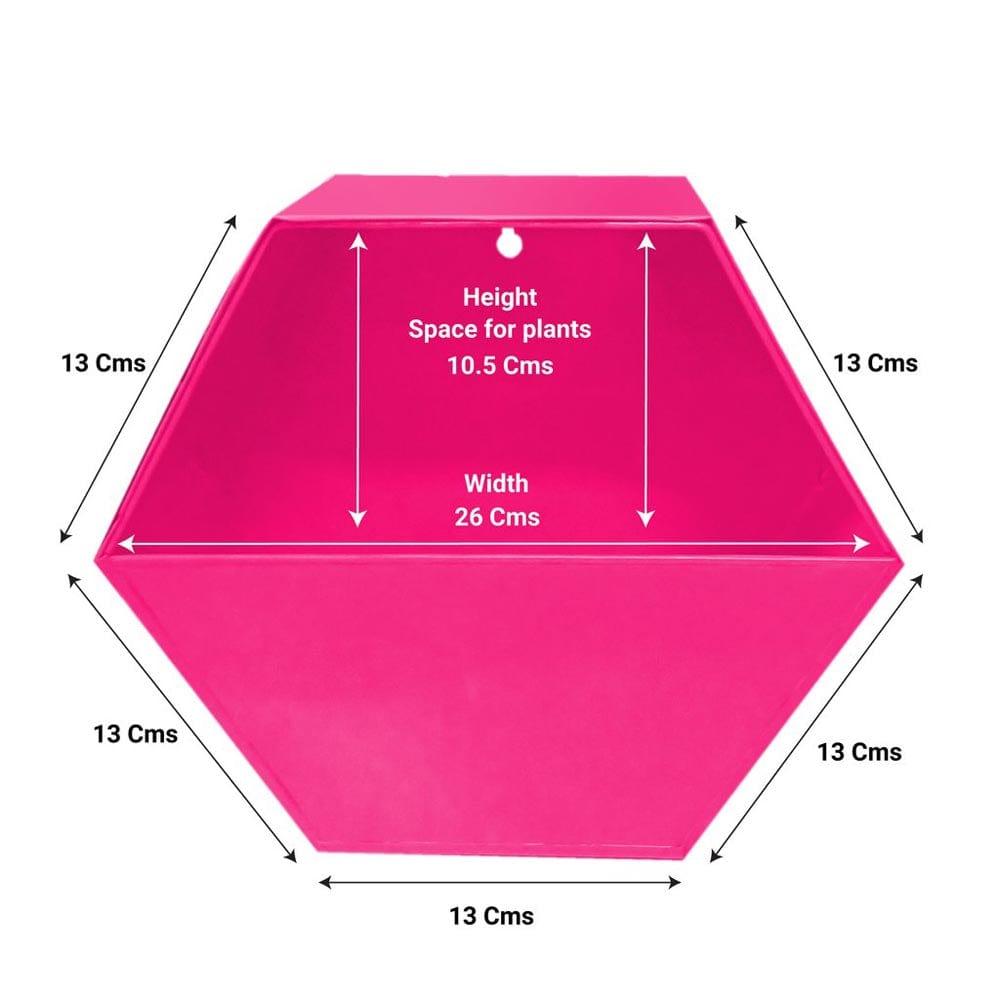 Hexagon-Magenta_1024x1024_13a824fa-9b03-4d97-8c05-4ae2116d2822.jpg