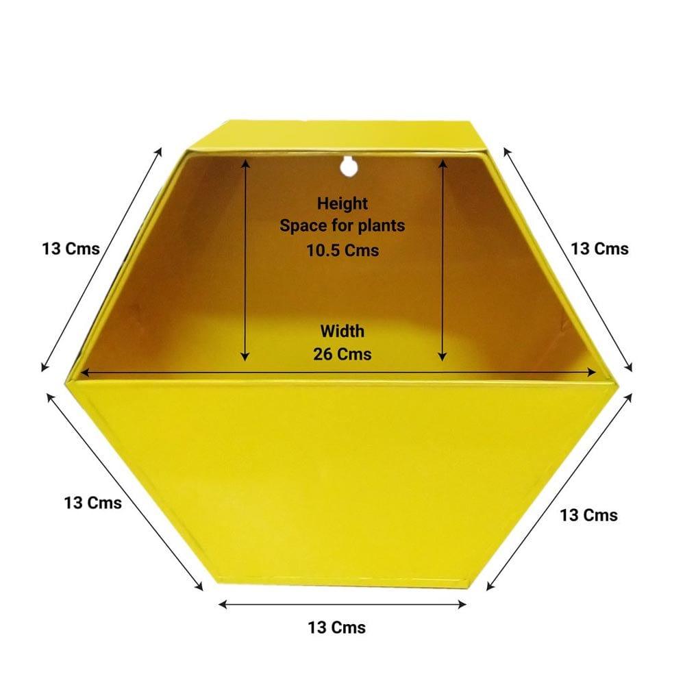 Hexagon-Yellow_1024x1024_9f696b18-38dc-47de-8151-83d32582a9e0.jpg