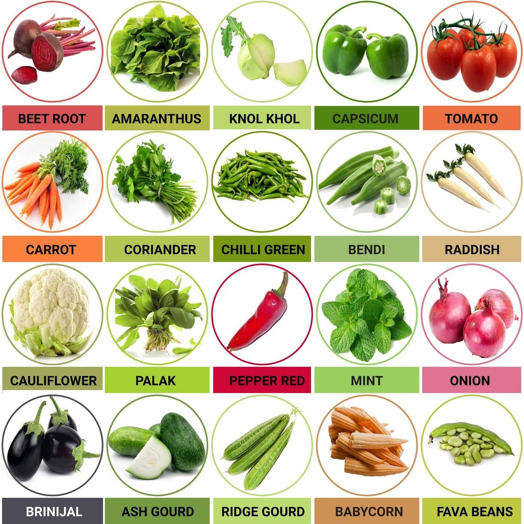 01-Seeds-Combo-Set-of-20.jpg