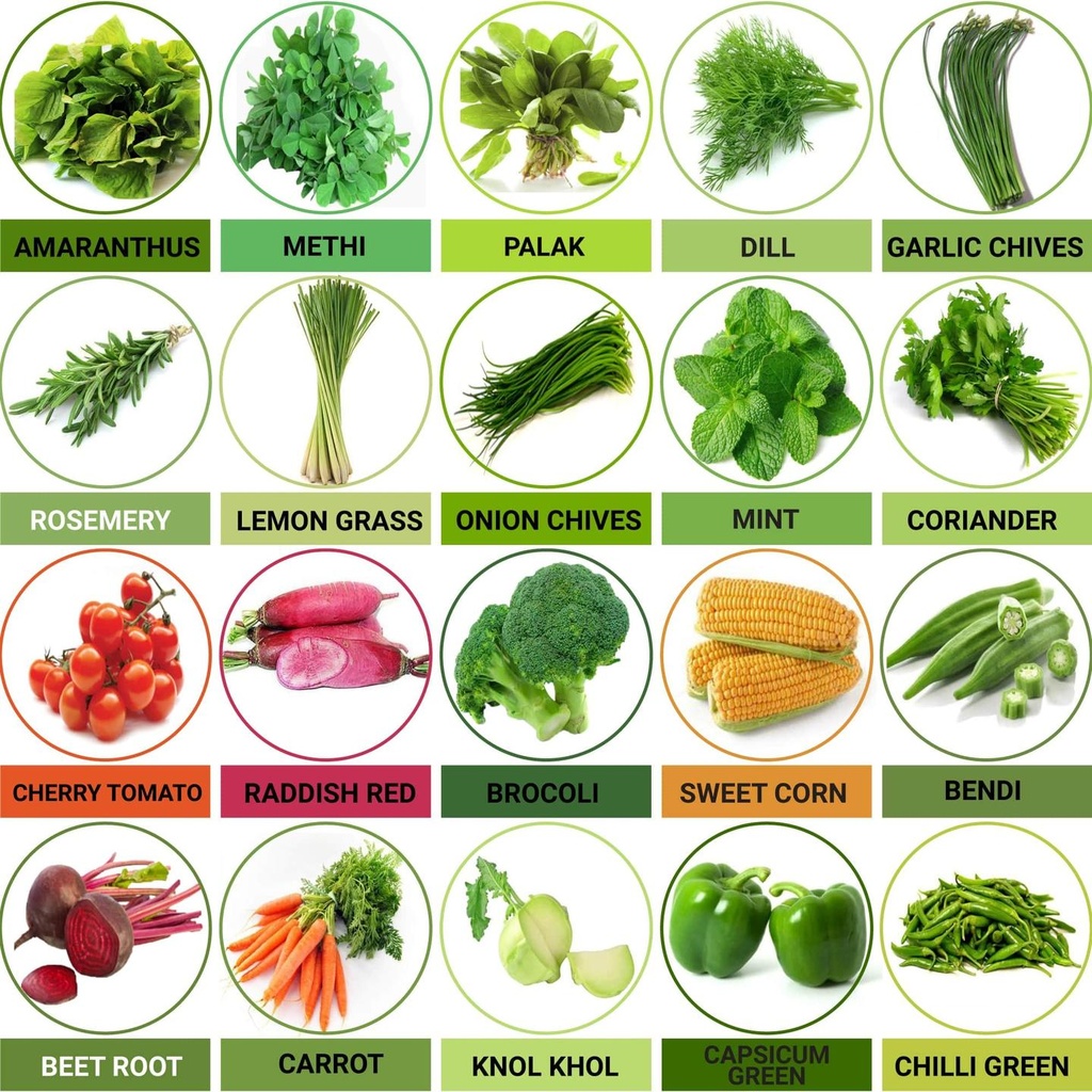 02-Seeds-Combo-Set-of-20.jpg