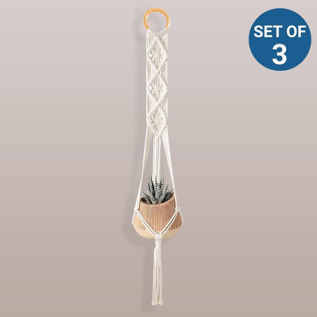 SENSA-SET-OF-3.jpg