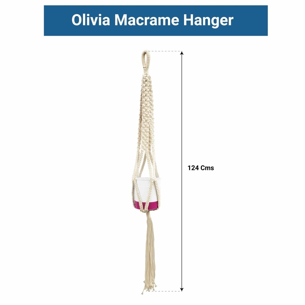 Olivia-Dimension1.jpg