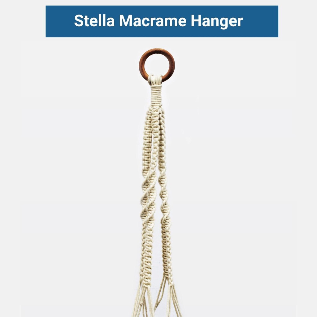 STELLA--Closeup1.jpg