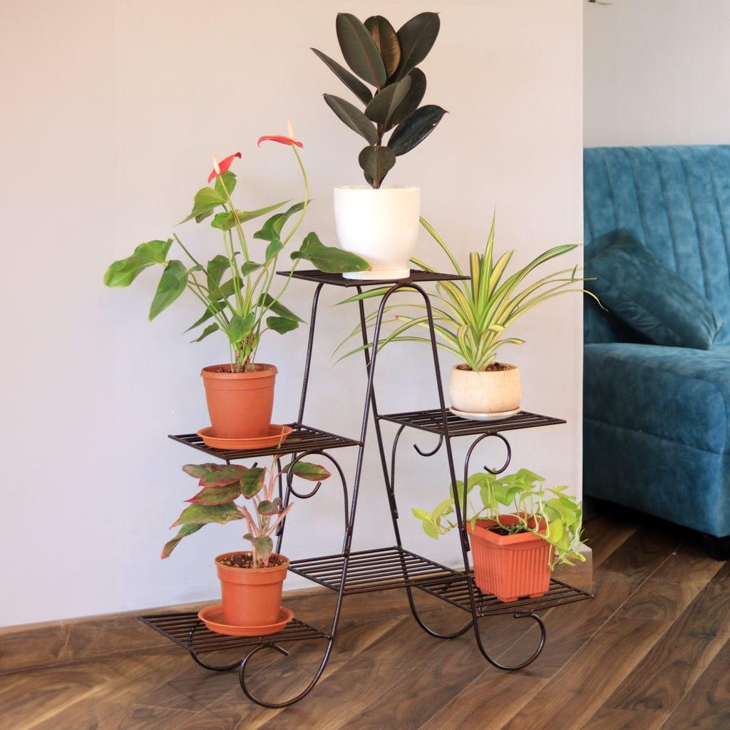 Lifestyle_4c085229-fdba-4136-b9db-5ce416487c58.jpg