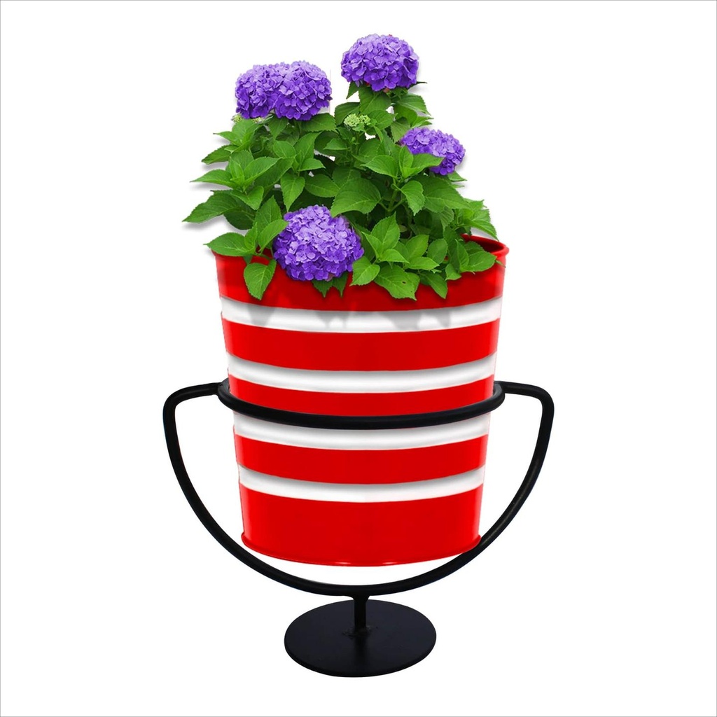 Stand-Ribbed-Red.jpg