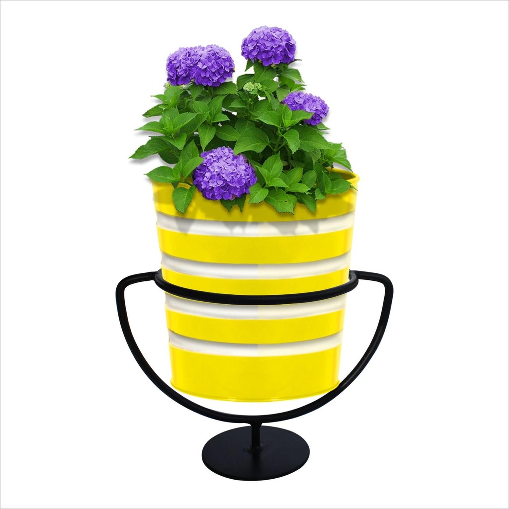 Stand-Ribbed-Yellow.jpg