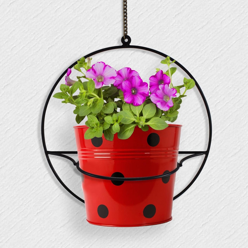 Wall-mount-Round-Pot-Stand.jpg