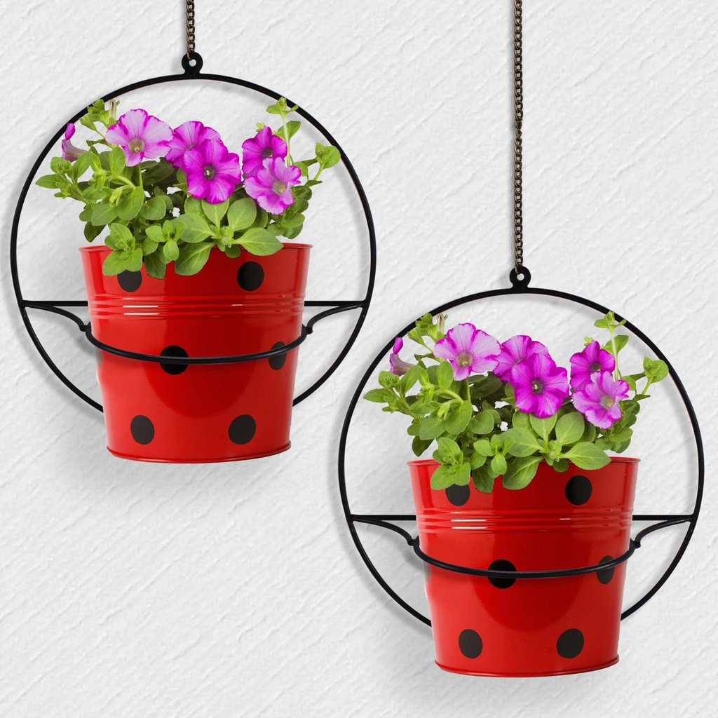 Wall-mount-Round-Pot-Stand-Set-of-2.jpg