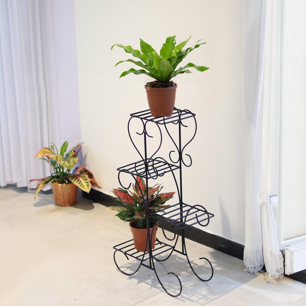 Lifestyle-3_ccaf8f5d-ebf3-4970-a923-cf37e955bb5a.jpg