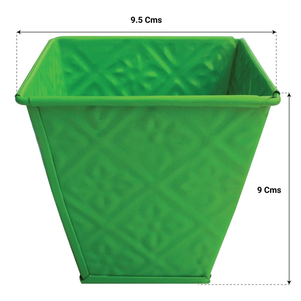 GREEN_6f0f0a63-45a3-4a47-89cc-043a9b467639.jpg