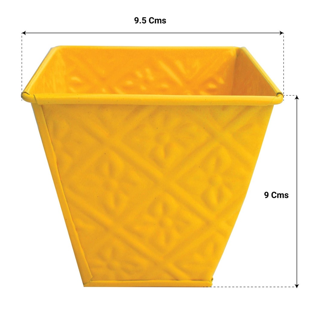 YELLOW_760e0bb8-9788-4533-9ce5-ee1629f4ad9f.jpg