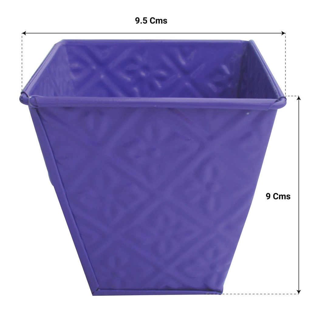 PURPLE..jpg