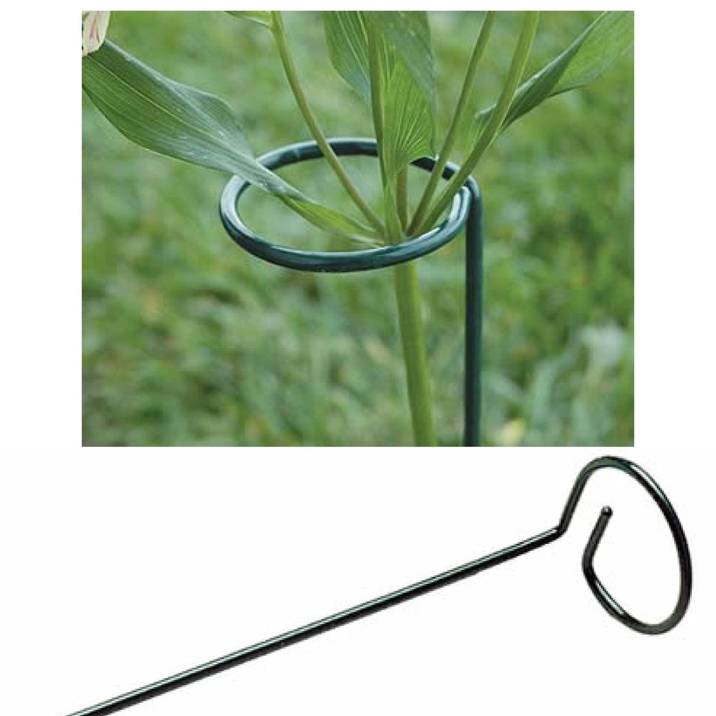 Plant-Stem-Supporter-secondary-img.jpg