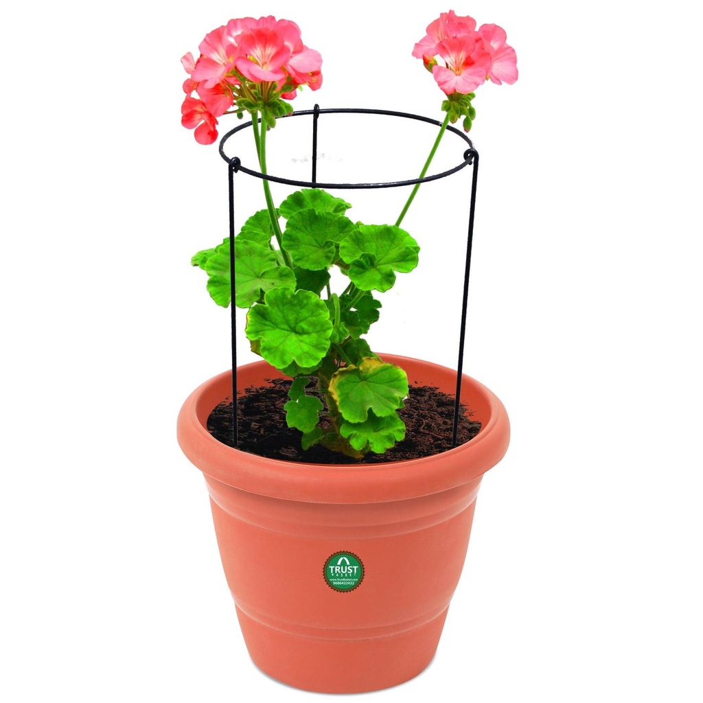 Plant-support.jpg