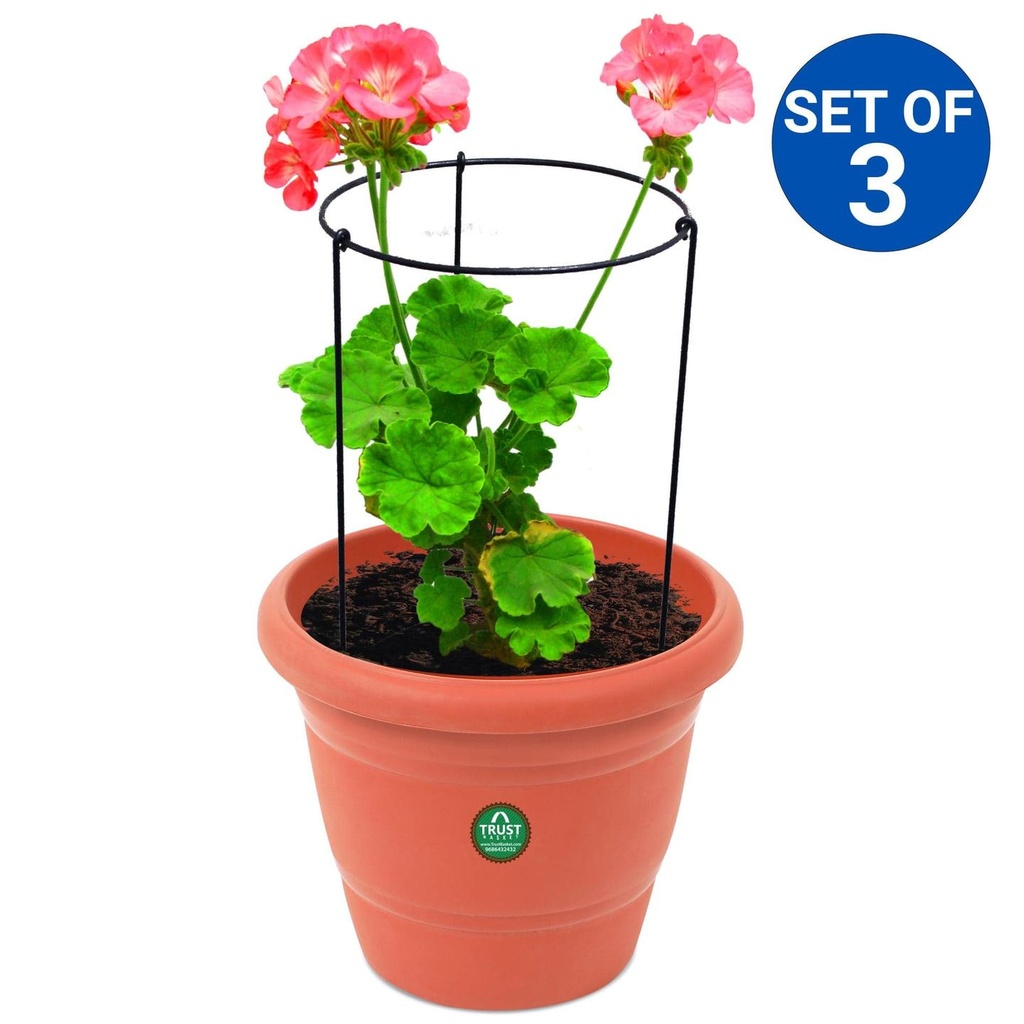 Plant-supportOSet-of-3.jpg