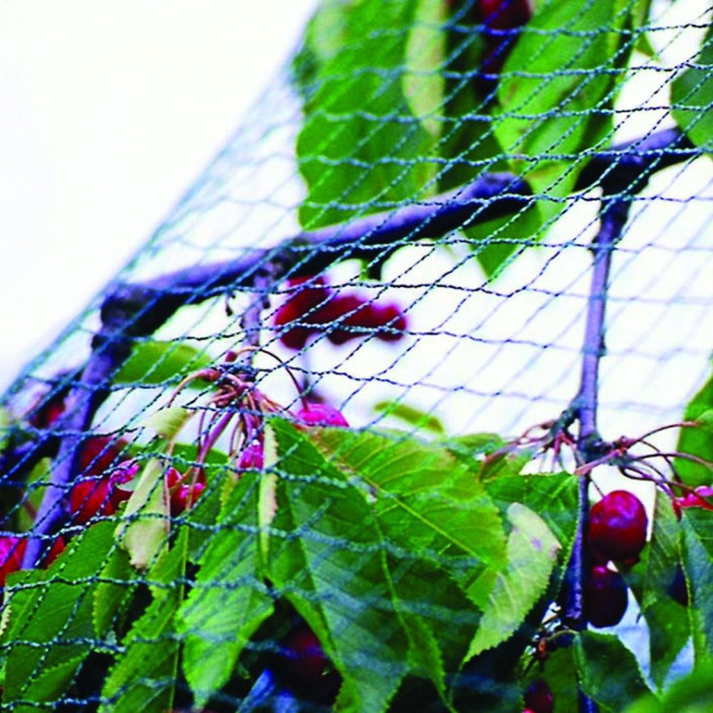 Anti-Bird-Net1.jpg