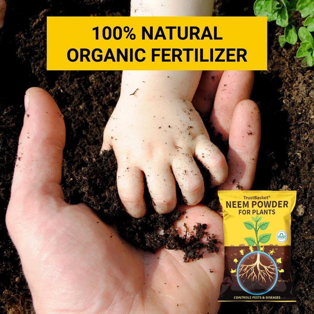 100_-Natural-organic-fertillizer_1024x1024_7d4a45a7-cf23-40ec-b320-bcfdad86cdf2.jpg