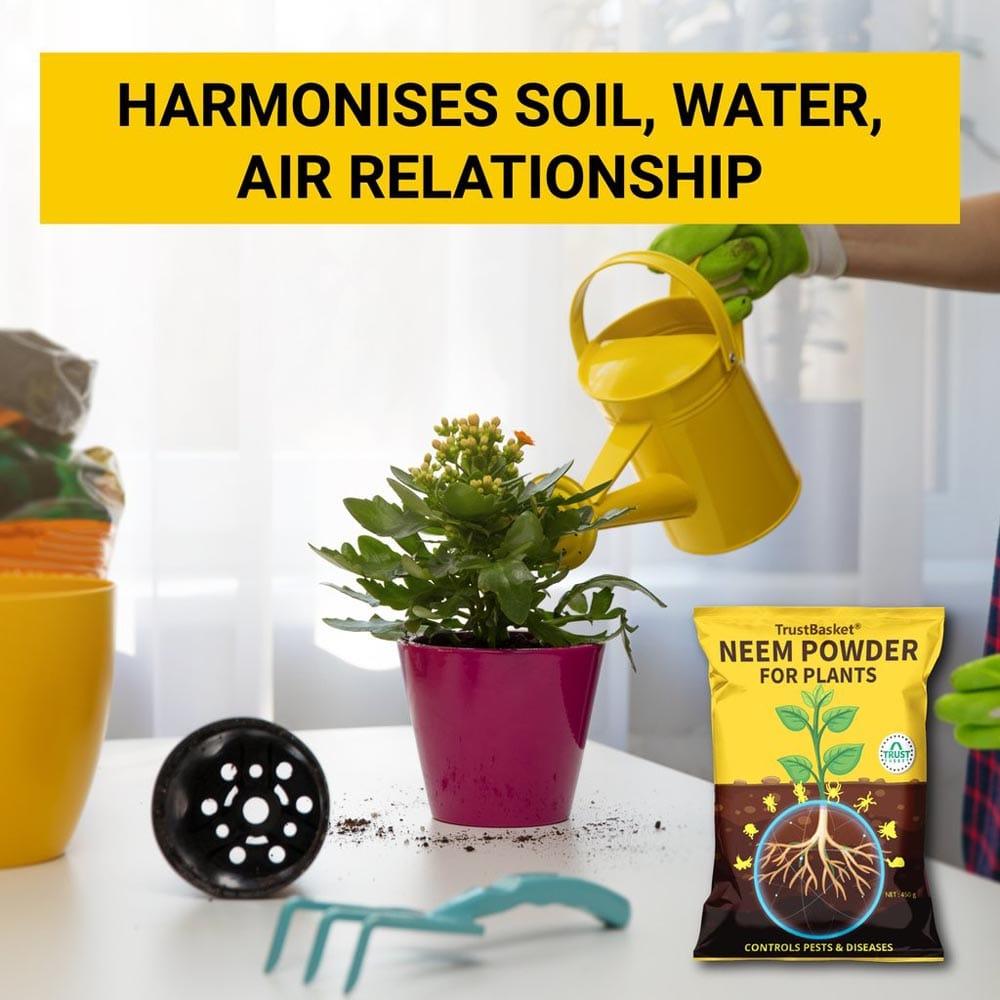 Harmonises-soil-water-air-relationship_1024x1024_eb6211b1-61bd-4da4-8558-6f420eb2dc8e.jpg