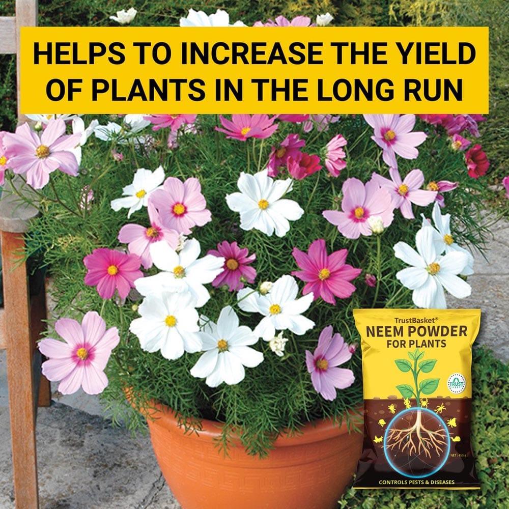 Helps-to-increase-the-yield-of-plants-in-the-long-run_1024x1024_1.jpg