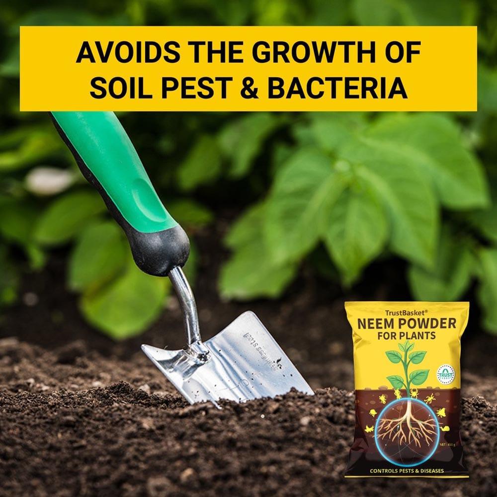 Reduces-the-growth-of-soil-pest-_-Bacteria_1024x1024_d2a8d5f1-c3d7-4cf3-9968-86b16042eaa8.jpg
