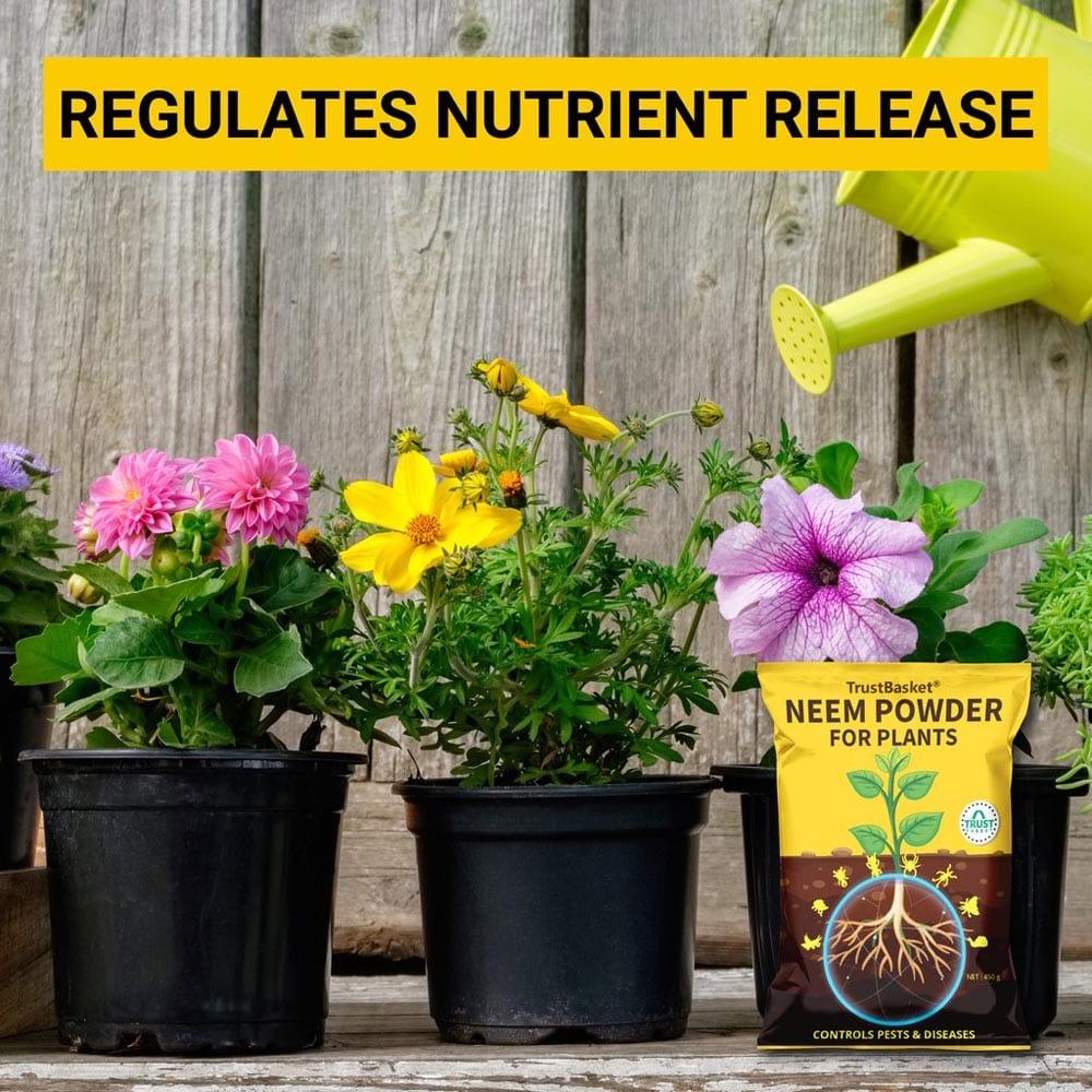 Regulates-nutrient-release_1024x1024_876bed9e-315d-4e53-8ea4-797b650b425b.jpg