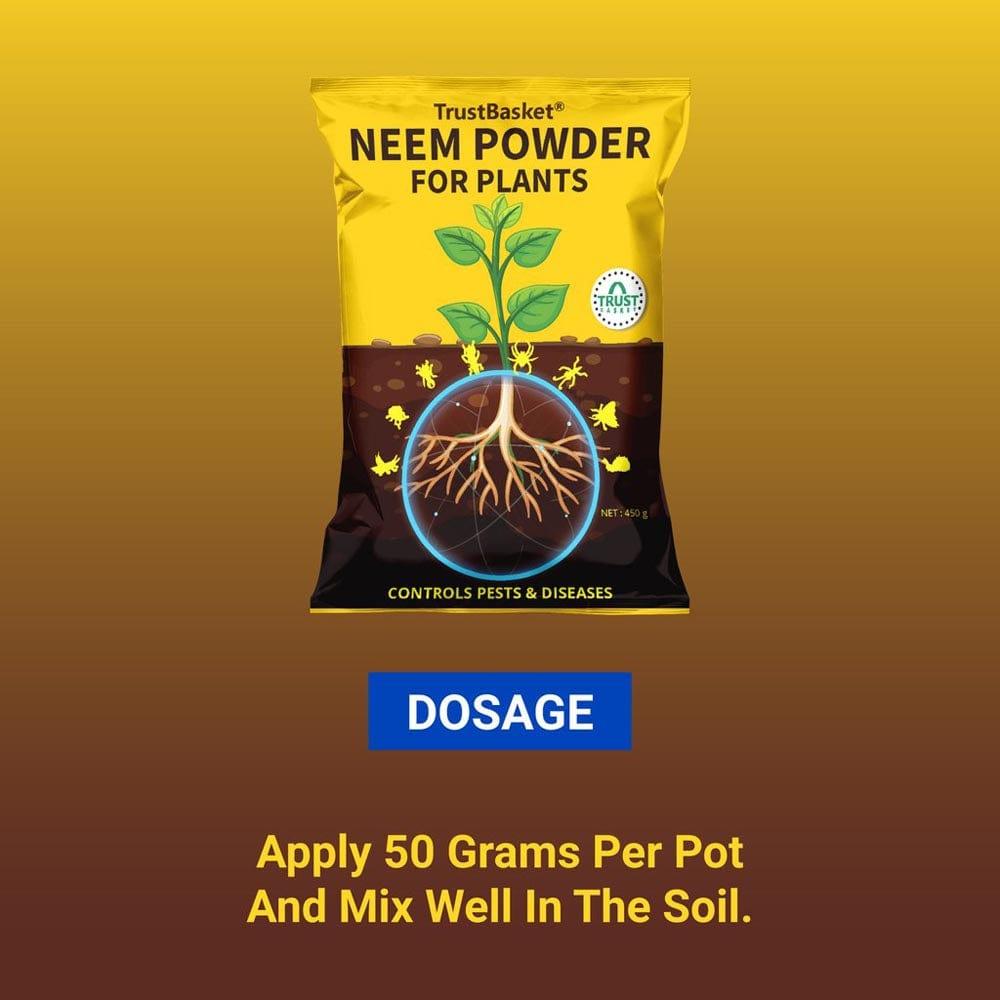 Neem-POWDER-Dosage_1024x1024_1ce6d4a3-879e-4487-b054-bd33d5d65c93.jpg