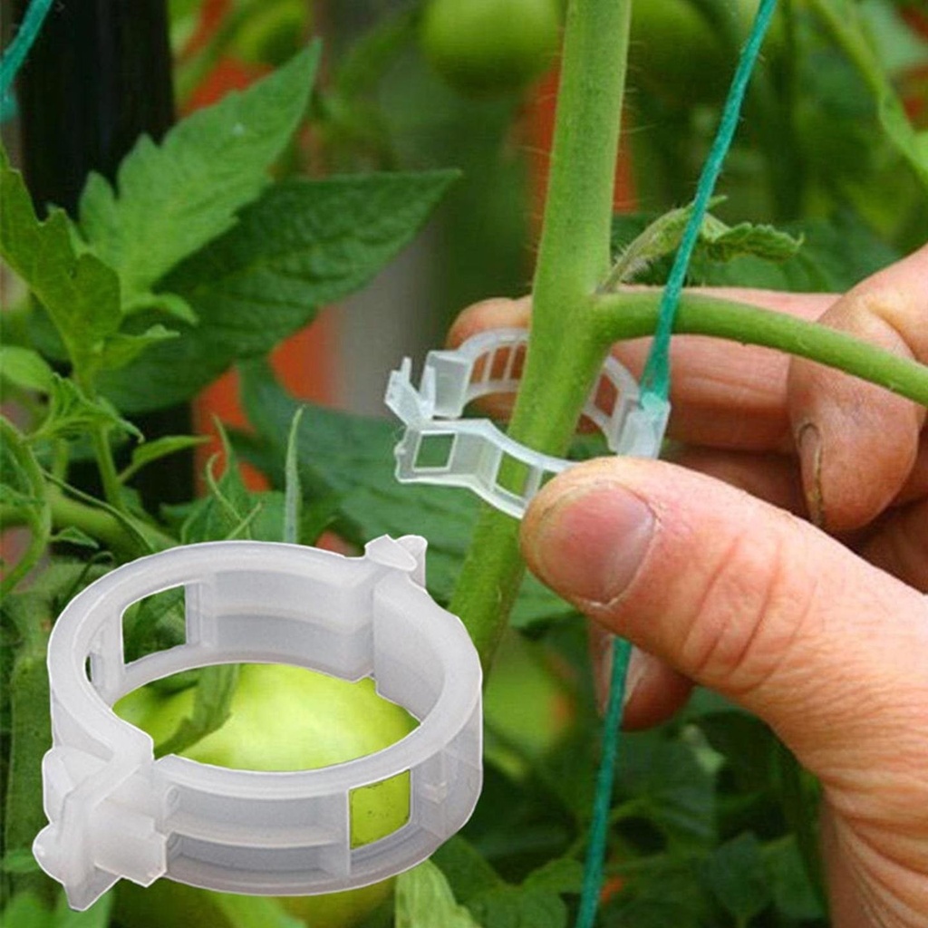 TRELLIS-CLIPS2.jpg
