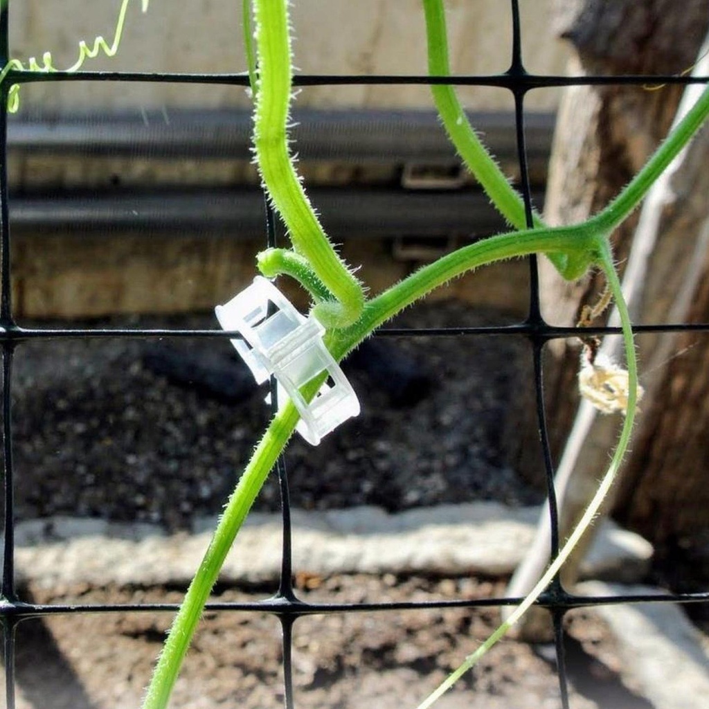 TRELLIS-CLIPS3.jpg