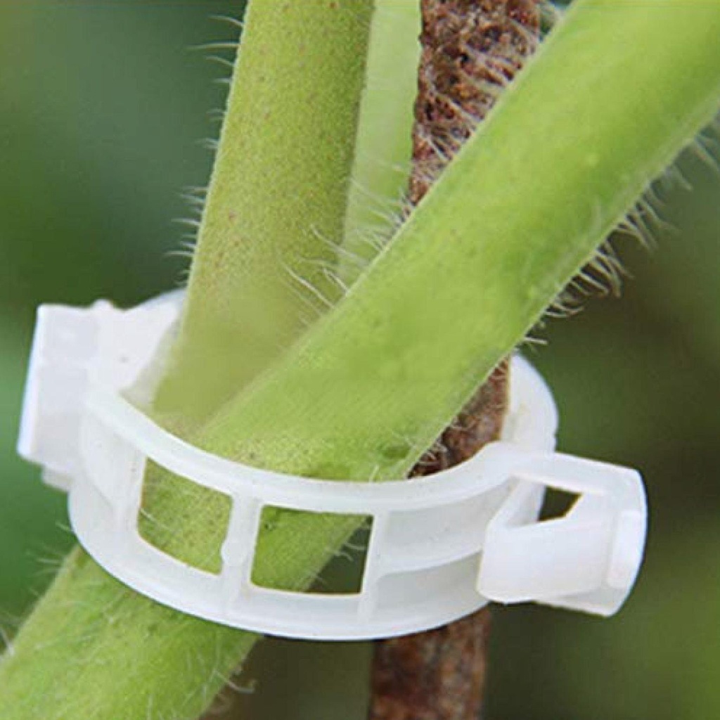 TRELLIS-CLIPS4.jpg
