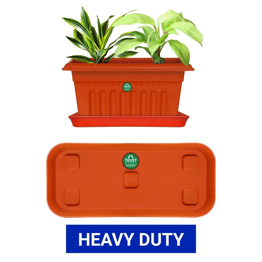 Heavy-Duty-REC-Brown-Saucer.jpg