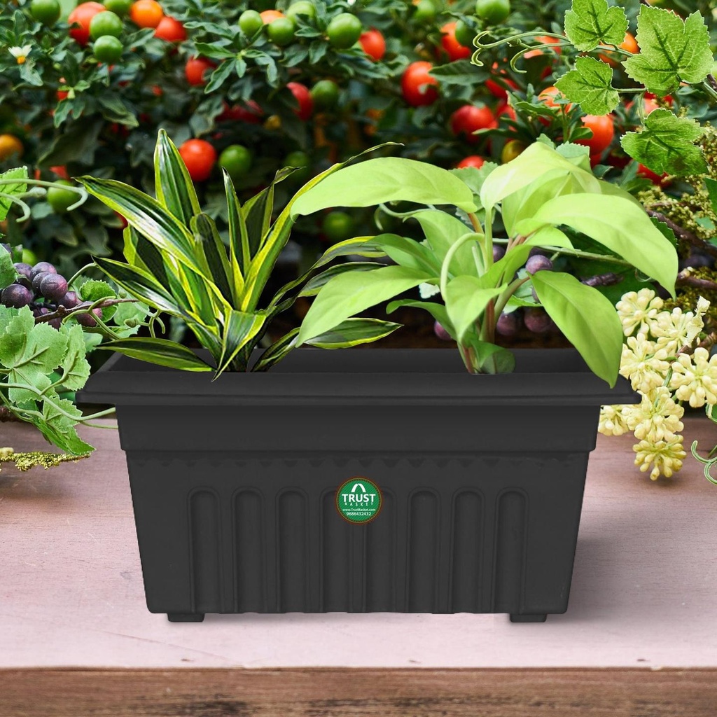 1-Rec-Plastic-Pot-secondary-imgs-black_01eb99f7-49e6-4b0f-a46b-a31bb4791e48.jpg