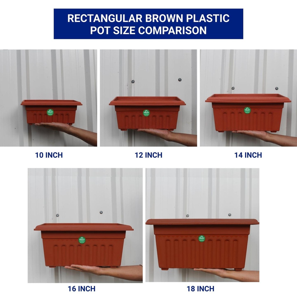 RECTANGULAR--Brown-Pot_a0435025-85d2-4c83-8fe9-8a14c3f951dc.jpg