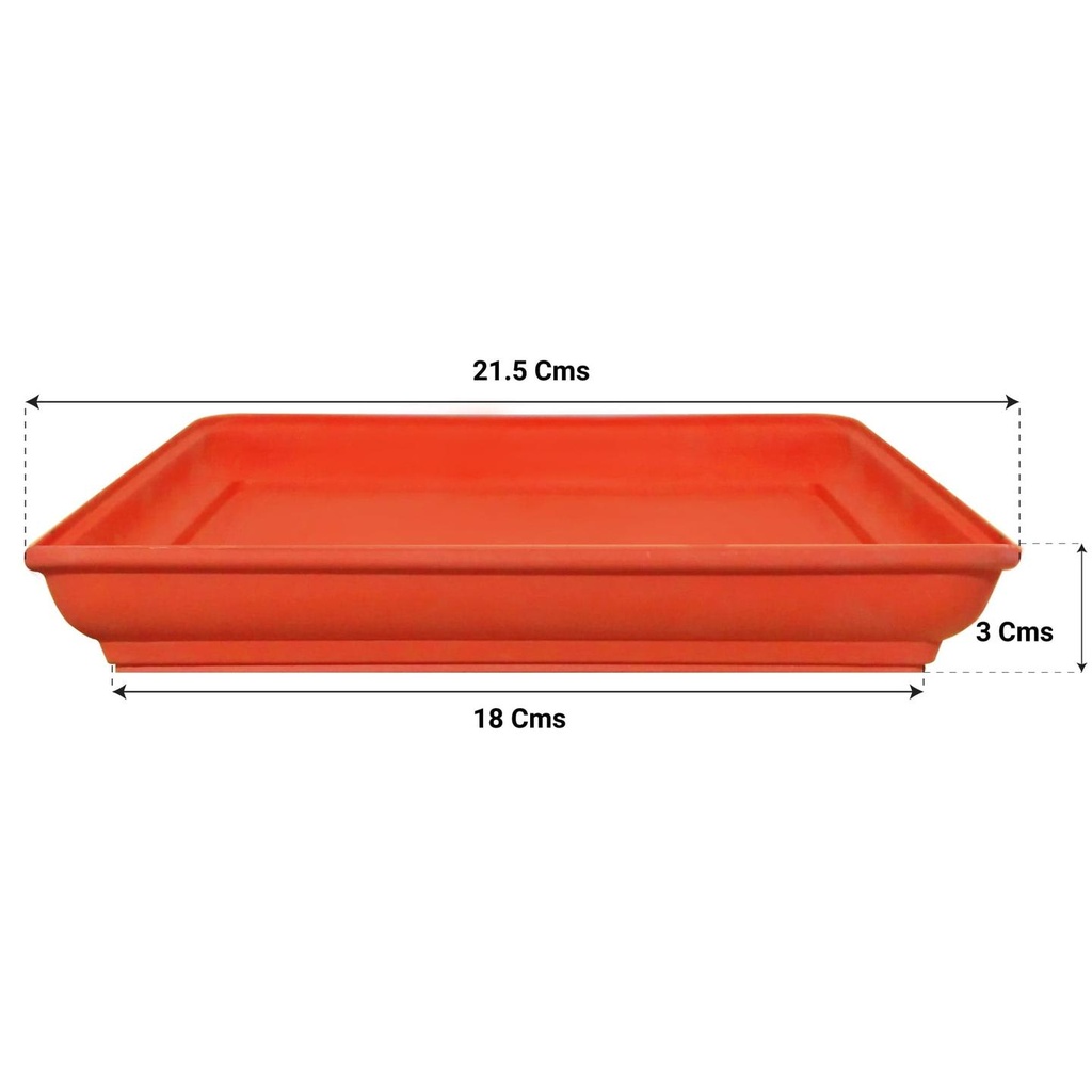Brown-10-Inch-Dimension.jpg