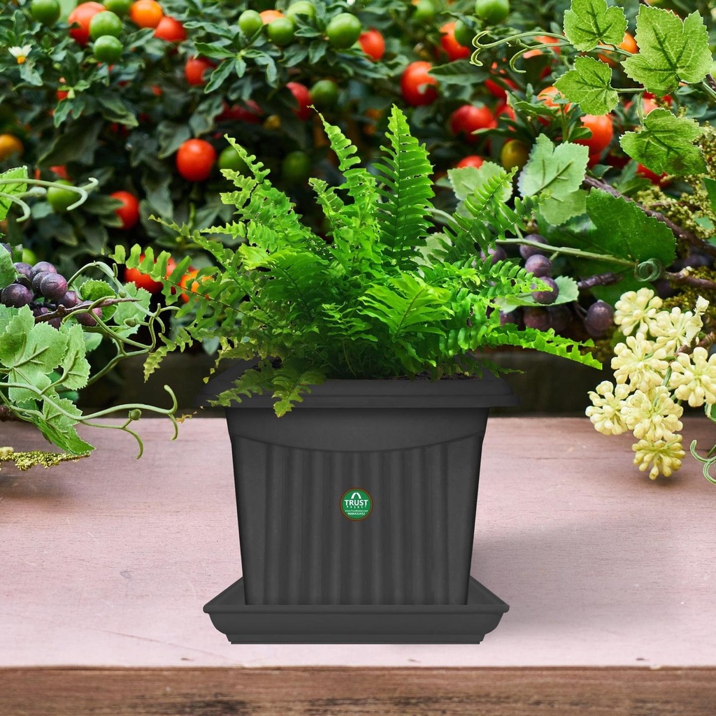 Black-Squrae-Plastic-Saucer_86269541-64b5-4d64-bb35-4f982b0038c1.jpg