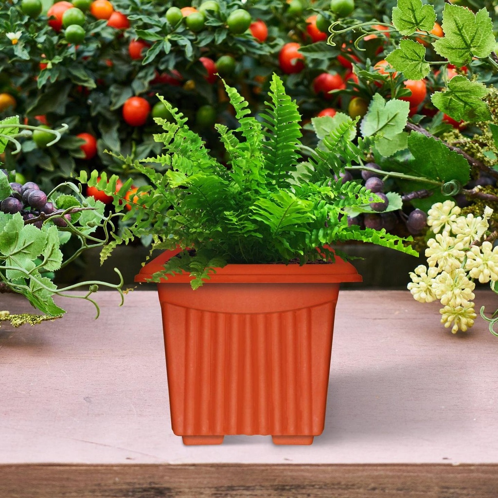 Brown-Square-Plastic-Pot-secondary-imgs_9c62b9e8-6712-42d3-922a-cc657da4e48c.jpg