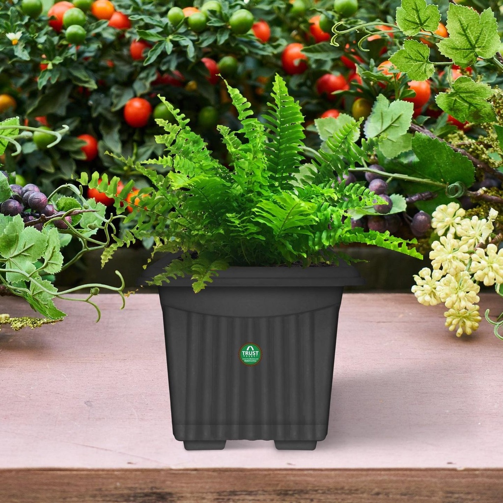 Black-Square-Plastic-Pot-secondary-imgs_fd757f68-0bc4-4c97-9ae1-4b0be9065e30.jpg