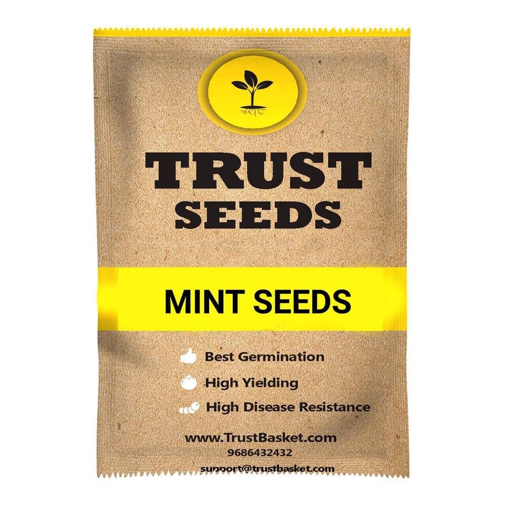 MINT-SEEDS_1024x1024_487e8246-2941-4930-90db-3e8a87273379.jpg