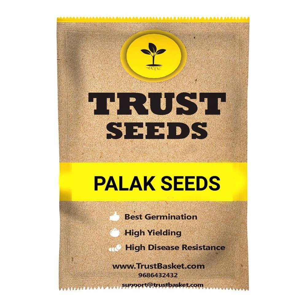 PALAK-SEEDS_1024x1024_befbbf6d-818f-4475-96d0-b41341bb33ed.jpg