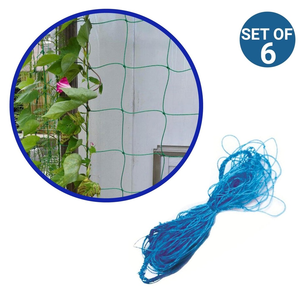 Set-of-6_1.jpg