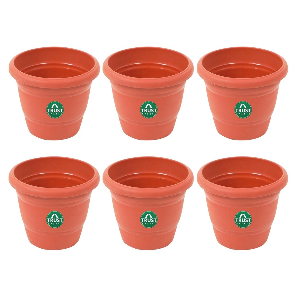 14-Inch-set-of-6_f82238bb-f1c8-4ebd-b42b-ed4e075ad338.jpg