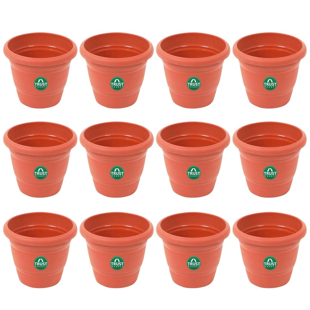 6-Inch-set-of-12.jpg