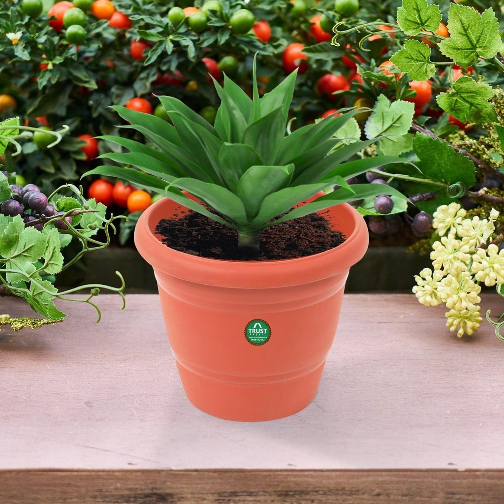 1-Round-Plastic-Pot-secondary-imgs_5f061c1f-a0f3-4e0d-a5b2-7cde24a4cf86.jpg